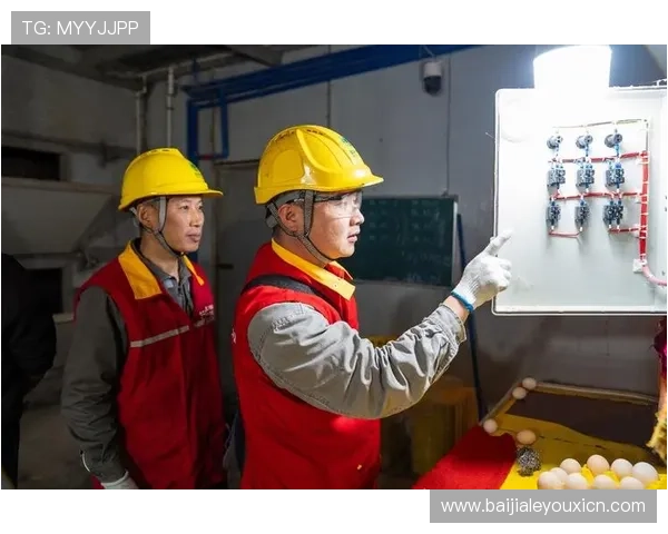 真人视讯集团网址安全保障，保障用户信息安全与资金安全