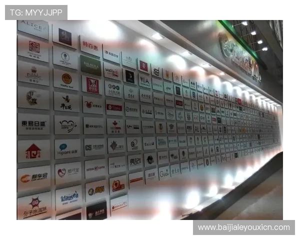 ob视讯官网最新入口，全面介绍平台特色与安全保障措施