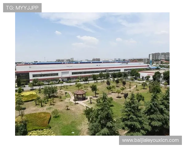 凯发真人集团有限公司全面解析其发展历程与行业地位，助你深入了解行业领军企业的核心竞争力